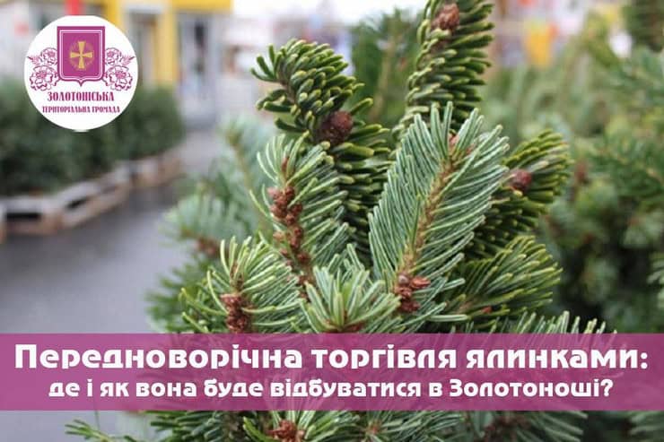 Де можна купити новорічну ялинку в Золотоноші