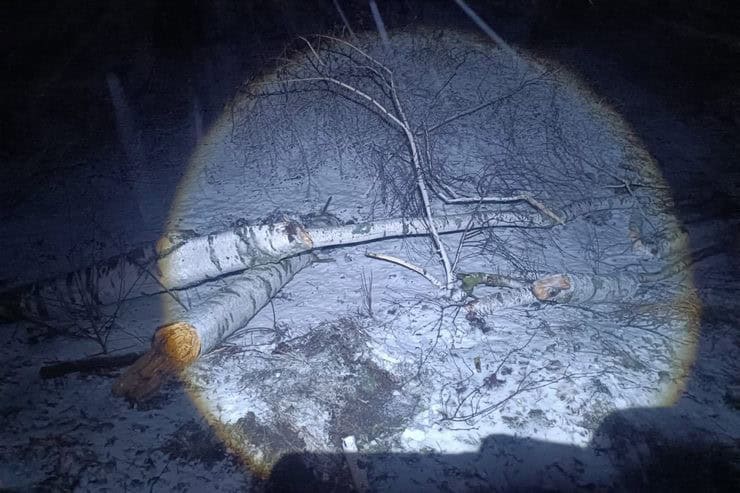 Наслідки негоди в Золотоноші: підтоплення, зламані дерева та ожеледиця